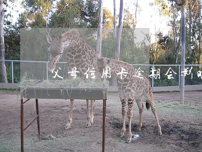 父母信用卡逾期会影响儿女征信吗 父母信用卡逾期会影响儿女征信吗