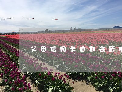 父母信用卡逾期会影响考公务员吗
