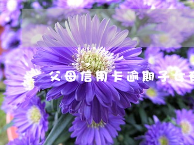 父母信用卡逾期子女有责任吗 父母信用卡逾期子女有责任吗