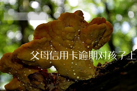 父母信用卡逾期对孩子上学有影响