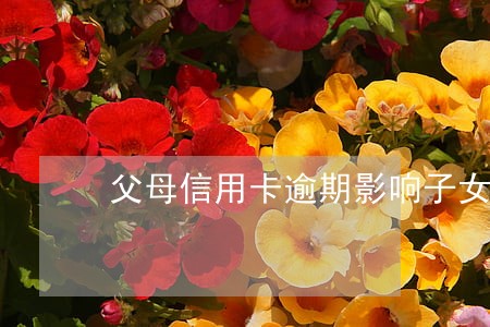 父母信用卡逾期影响子女信誉吗 父母信用卡逾期影响子女信誉吗