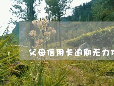 父母信用卡逾期无力偿还