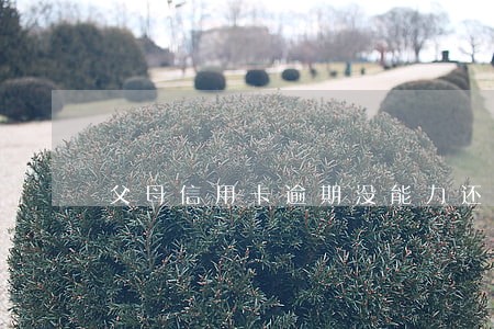 父母信用卡逾期没能力还
