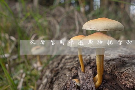 父母信用卡逾期骚扰你和我同学 父母信用卡逾期骚扰你和我同学