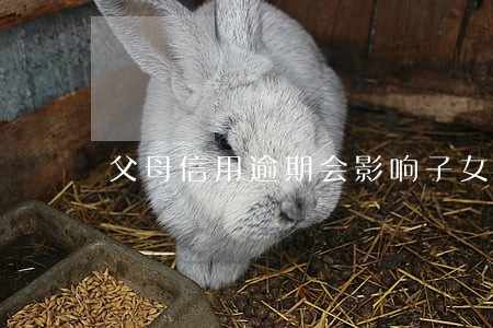 父母信用逾期会影响子女政审吗 父母信用逾期会影响子女政审吗