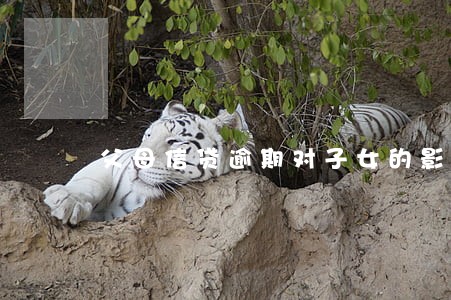 父母信贷逾期对子女的影响 父母信贷逾期对子女的影响