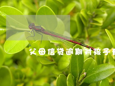 父母信贷逾期对孩子有什么影响 父母信贷逾期对孩子有什么影响