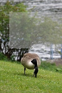 父母借钱逾期会影响子女上学吗 父母借钱逾期会影响子女上学吗