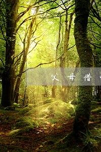 父母借钱逾期会影响孩子吗 父母借钱逾期会影响孩子吗