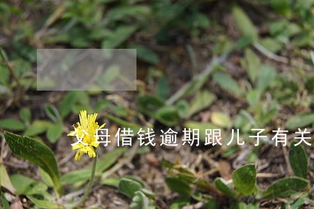 父母借钱逾期跟儿子有关系吗 父母借钱逾期跟儿子有关系吗