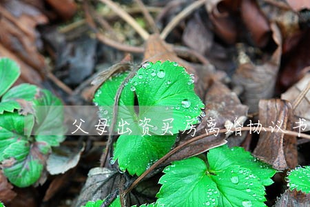 父母出资买房离婚协议书 父母出资买房离婚协议书