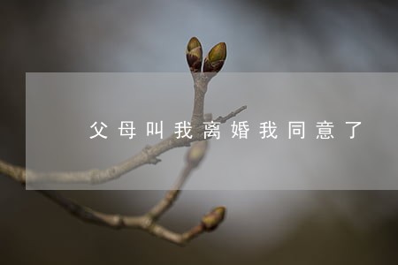 父母叫我离婚我同意了 父母叫我离婚我同意了