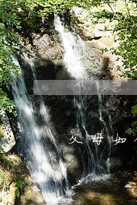 父母如何办理协议离婚 父母如何办理协议离婚