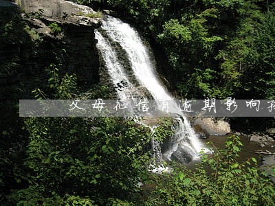 父母征信有逾期影响孩子政审么