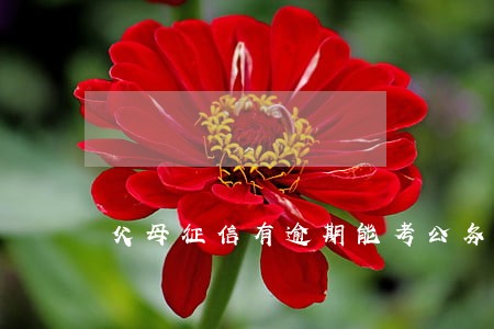 父母征信有逾期能考公务员吗 父母征信有逾期能考公务员吗