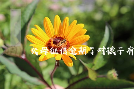 父母征信逾期了对孩子有影响吗 父母征信逾期了对孩子有影响吗