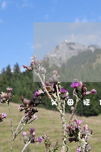 父母征信逾期了怎么办 父母征信逾期了怎么办