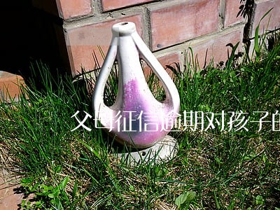 父母征信逾期对孩子的影响 父母征信逾期对孩子的影响