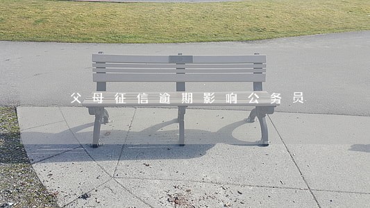 父母征信逾期影响公务员