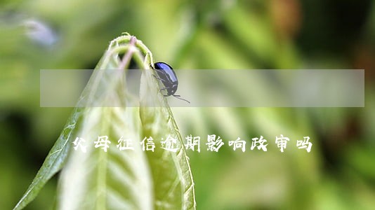 父母征信逾期影响政审吗 父母征信逾期影响政审吗