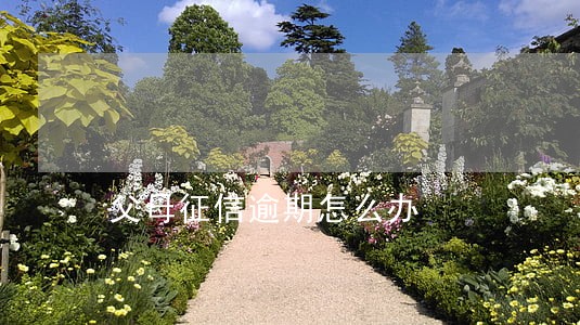 父母征信逾期怎么办 父母征信逾期怎么办