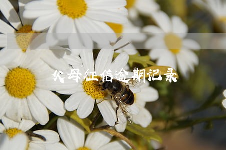 父母征信逾期记录 父母征信逾期记录