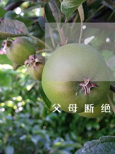 父母断绝关系逼孩子离婚 父母断绝关系逼孩子离婚