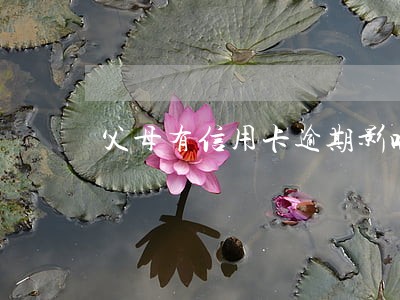 父母有信用卡逾期影响当兵吗