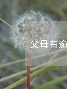 父母有逾期一年影响孩子考军校吗 父母有逾期一年影响孩子考军校吗