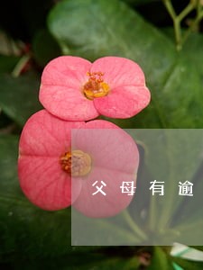 父母有逾期会影响孩子办房贷吗 父母有逾期会影响孩子办房贷吗