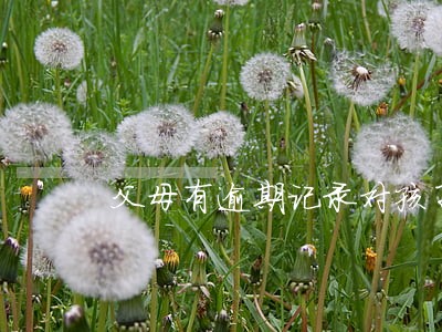 父母有逾期记录对孩子有哪些影响
