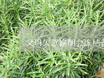 父母欠款逾期会冻结爸妈资产吗 父母欠款逾期会冻结爸妈资产吗