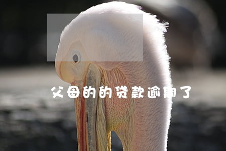 父母的的贷款逾期了 父母的的贷款逾期了