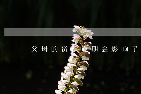 父母的贷款逾期会影响子女上学 父母的贷款逾期会影响子女上学