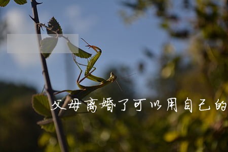 父母离婚了可以用自己的户口吗 父母离婚了可以用自己的户口吗