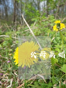 父母离婚了该怎么对孩子说 父母离婚了该怎么对孩子说