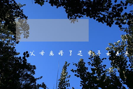 父母离婚了还有子女关系吗 父母离婚了还有子女关系吗