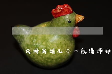 父母离婚儿子一般选择哪一方 父母离婚儿子一般选择哪一方