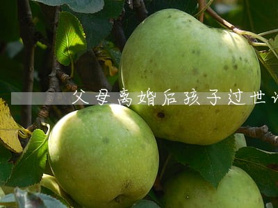 父母离婚后孩子过世谁继承 父母离婚后孩子过世谁继承