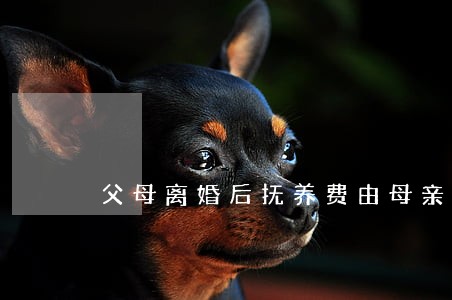 父母离婚后抚养费由母亲承担 父母离婚后抚养费由母亲承担