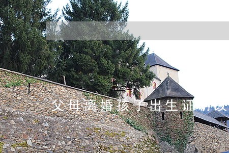 父母离婚孩子出生证明改名字 父母离婚孩子出生证明改名字