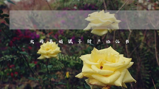 父母离婚孩子财产协议书 父母离婚孩子财产协议书