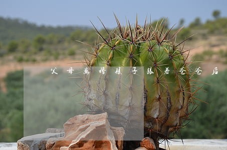 父母离婚孩子跟着爸爸后妈 父母离婚孩子跟着爸爸后妈