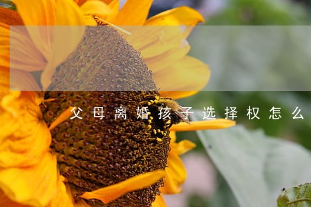 父母离婚孩子选择权怎么写 父母离婚孩子选择权怎么写