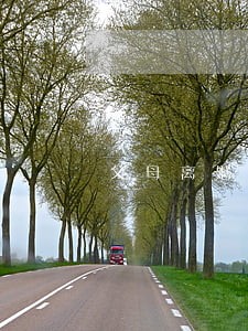 父母离婚小孩儿必须在吗 父母离婚小孩儿必须在吗