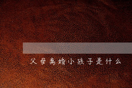 父母离婚小孩子是什么 父母离婚小孩子是什么