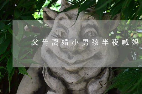 父母离婚小男孩半夜喊妈妈 父母离婚小男孩半夜喊妈妈