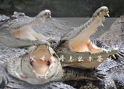 父母离婚怎么办签证