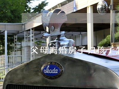 父母离婚房子归孩子怎么过户