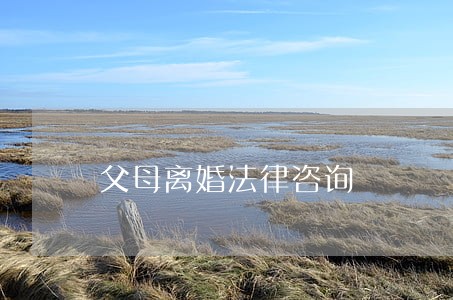 父母离婚法律咨询
